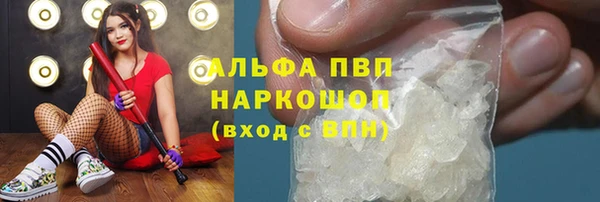 дживик Белокуриха