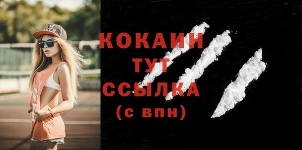 дживик Белокуриха