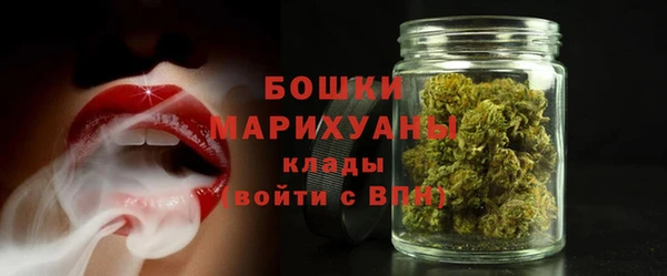 дживик Белокуриха
