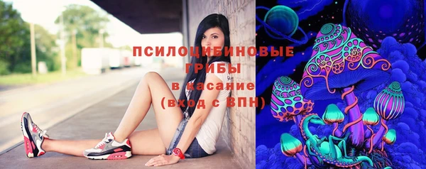 дживик Белокуриха
