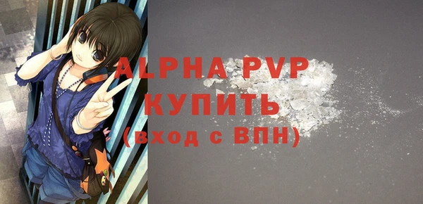 дживик Белокуриха