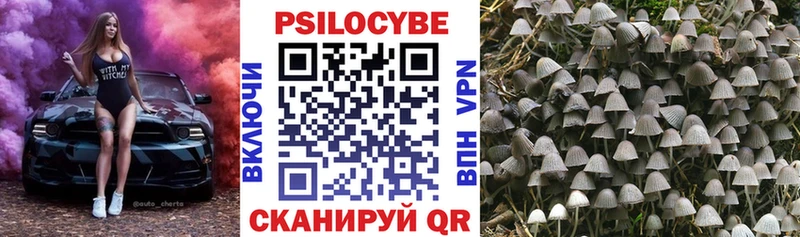 Галлюциногенные грибы GOLDEN TEACHER Ворсма